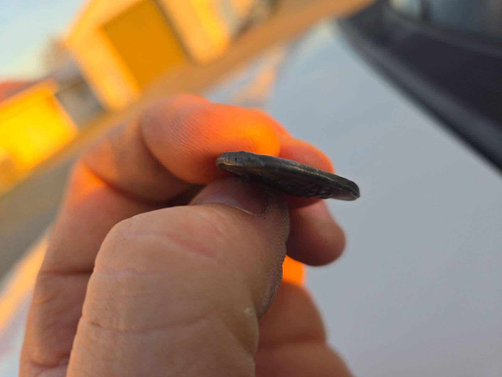 Please-Help-Identify-From-40Bc?
