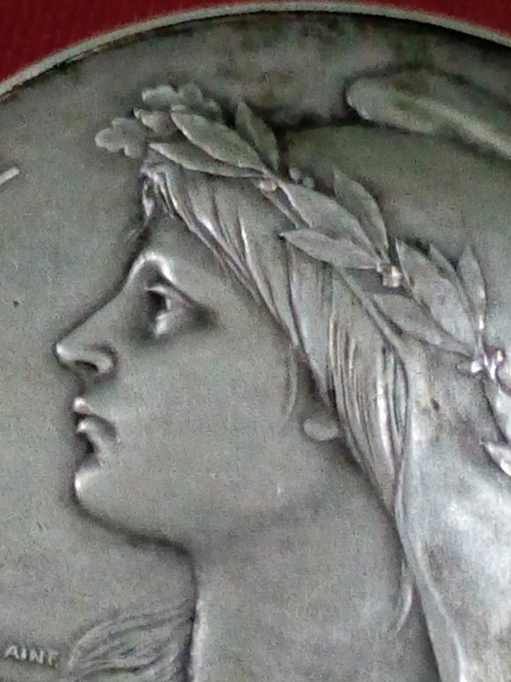 Would-You-Please-Help-On-Identifying-The-Medal