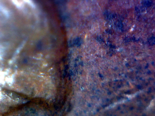 1-Cent-1969-S-Double?
