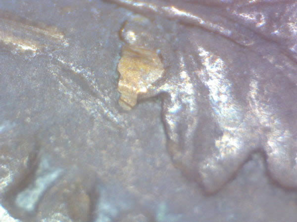 1859-Large-Cent