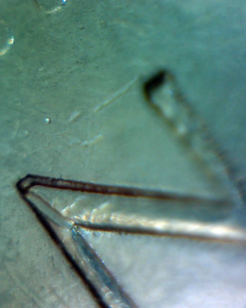 25c-2012-Double-Die