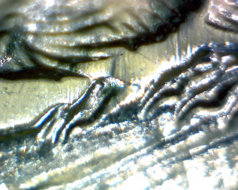 1965-5c-Die-Gouge-Whisker-+-Tripled-Die