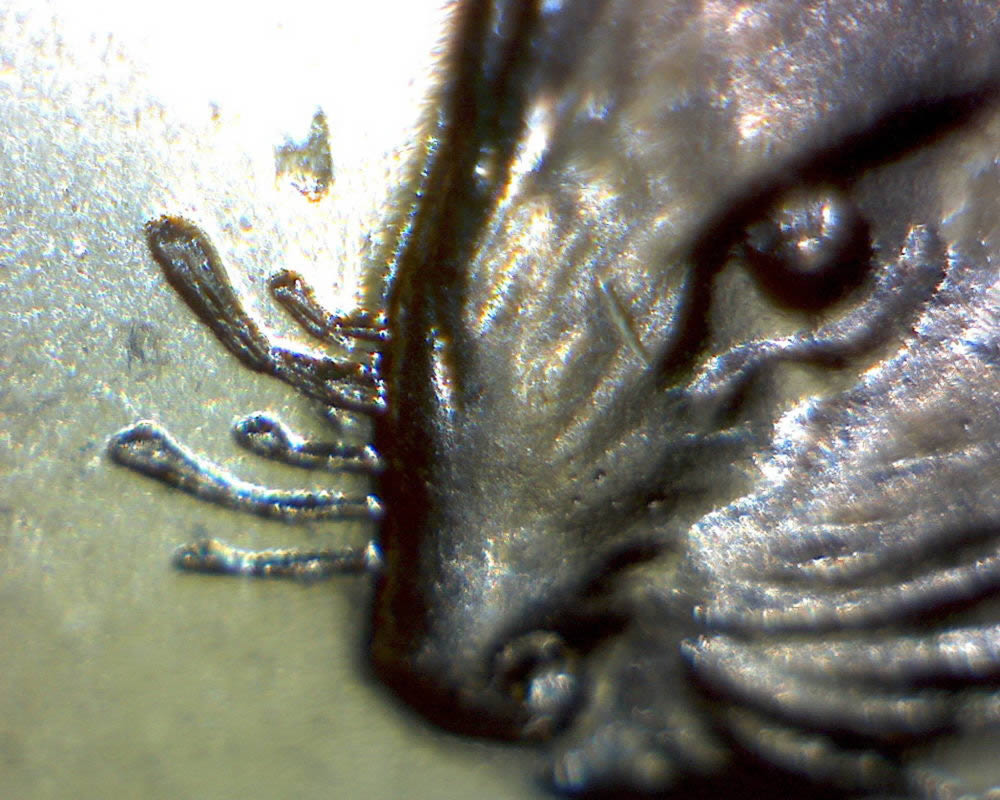 1965-5c-Die-Gouge-Whisker-+-Tripled-Die
