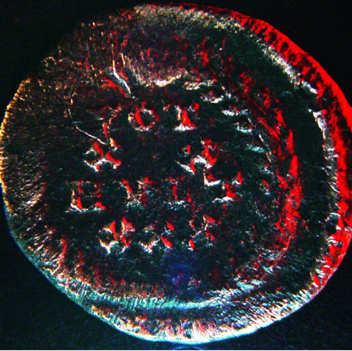 A-Cool-Constantius
