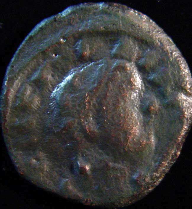 Ancient-17mm