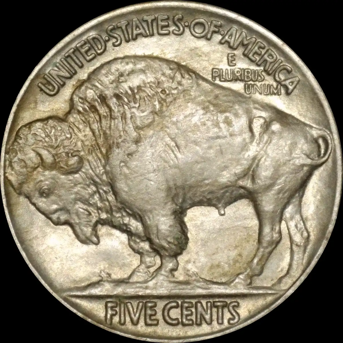 1915-P-Buffalo-Possibly-A-No-