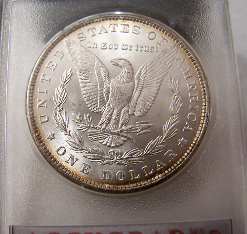 New-Member-Question-About-Morgan