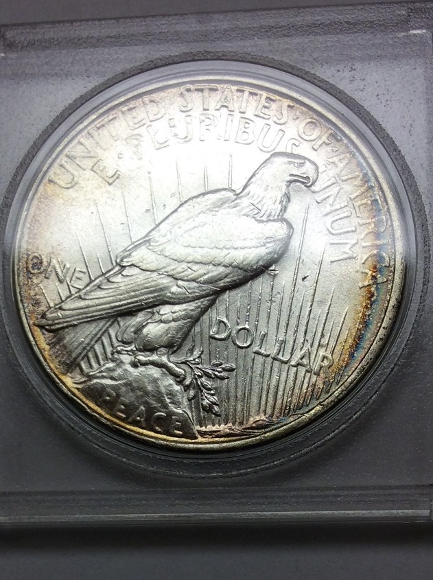 Toned-Peace-Dollars--What-Do-You-Think?