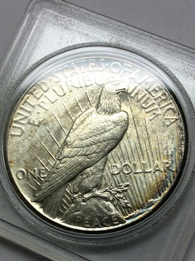 Toned-Peace-Dollars--What-Do-You-Think?