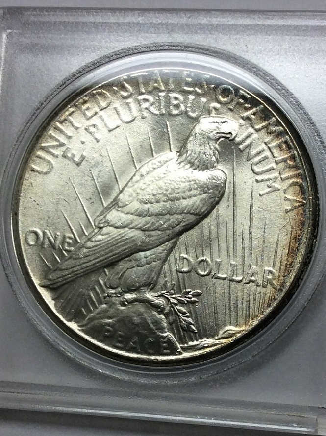 Toned-Peace-Dollars--What-Do-You-Think?