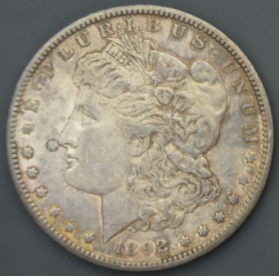 What-Grade-Will-You-Give-To-This-1892-CC-Morgan-Silver-Dollar?