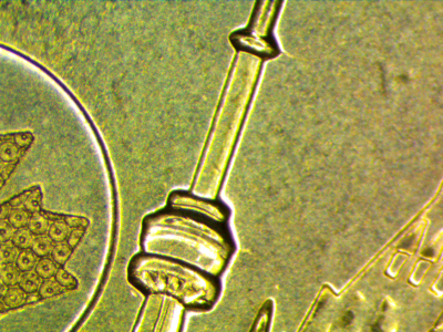 2017-Centennial-Dollar-With-Die-Chip-+-Die-Crack