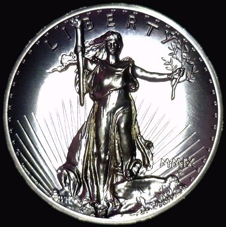 My-2009-Ultra-High-Relief-Silver-Eagle-Is-Terrible!-Black-Spot!