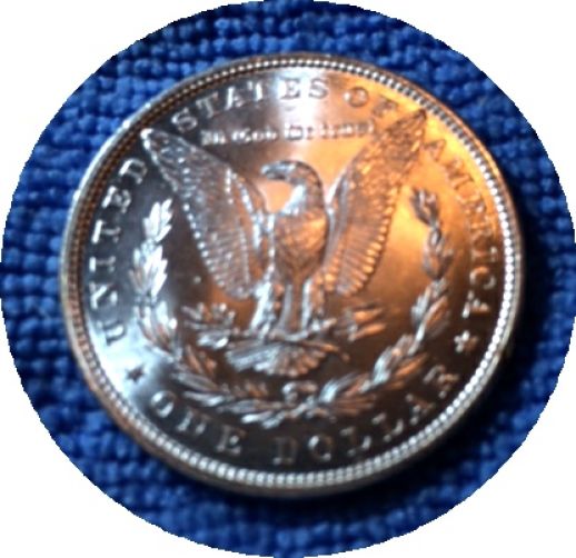 Pickups-From-An-Old-Collection---Morgans