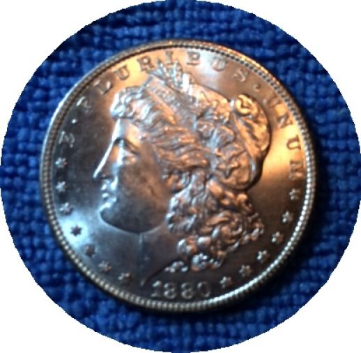 Pickups-From-An-Old-Collection---Morgans