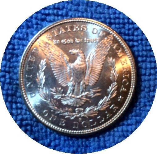 Pickups-From-An-Old-Collection---Morgans