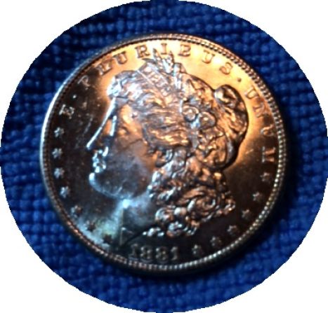 Pickups-From-An-Old-Collection---Morgans