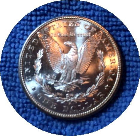 Pickups-From-An-Old-Collection---Morgans