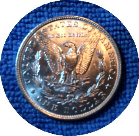 Pickups-From-An-Old-Collection---Morgans
