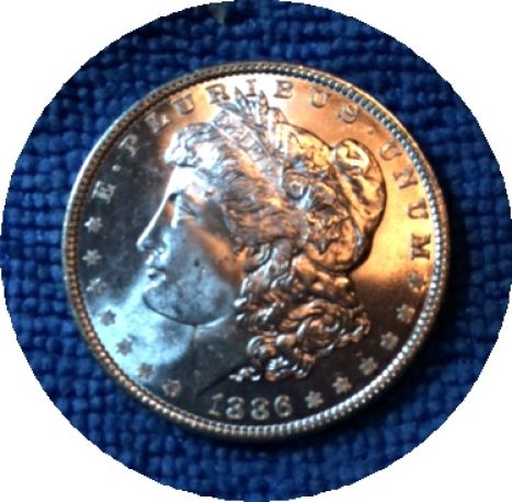 Pickups-From-An-Old-Collection---Morgans