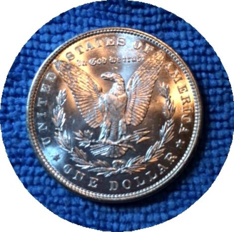 Pickups-From-An-Old-Collection---Morgans