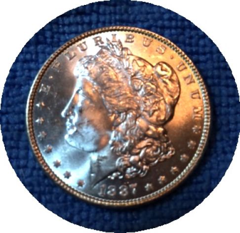 Pickups-From-An-Old-Collection---Morgans