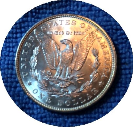 Pickups-From-An-Old-Collection---Morgans