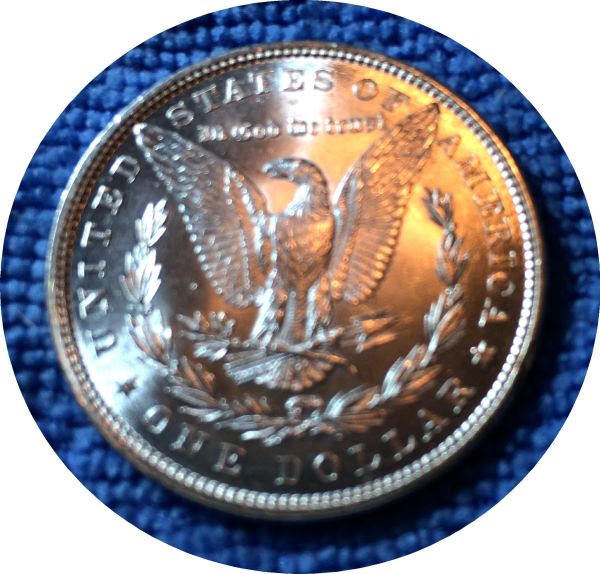 Pickups-From-An-Old-Collection---Morgans