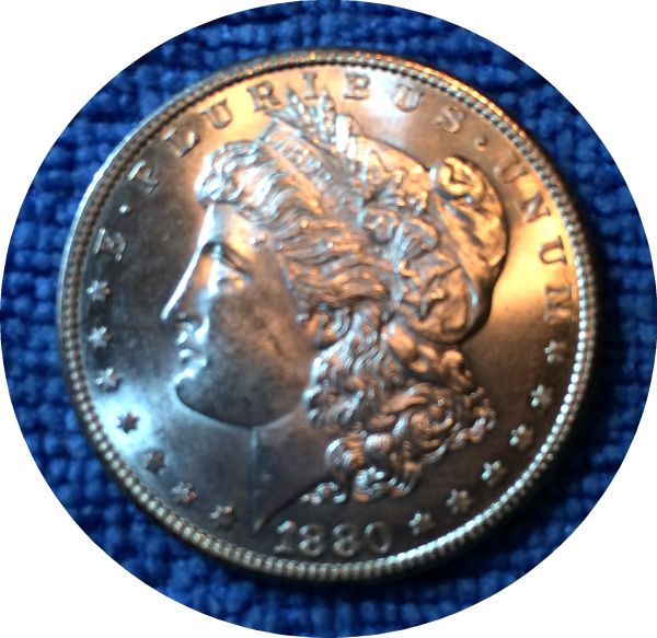 Pickups-From-An-Old-Collection---Morgans