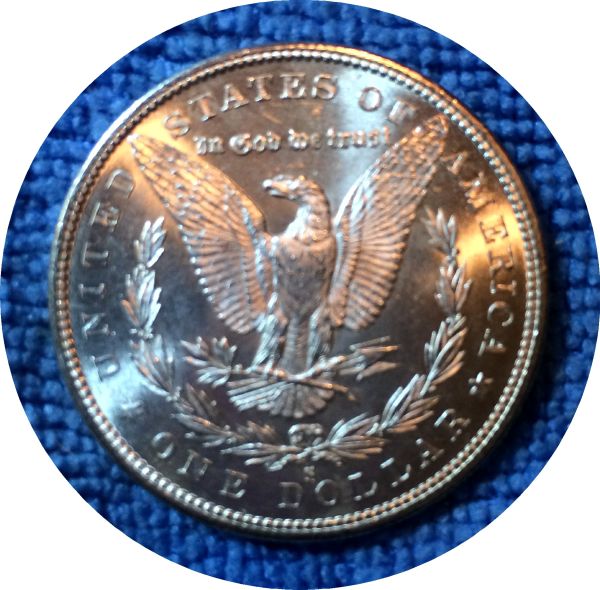 Pickups-From-An-Old-Collection---Morgans
