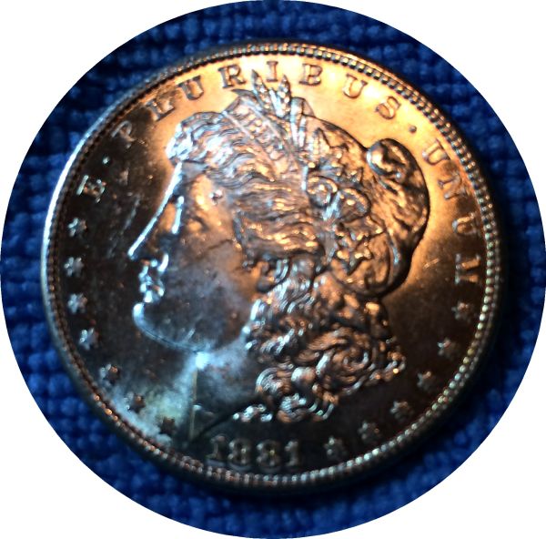 Pickups-From-An-Old-Collection---Morgans