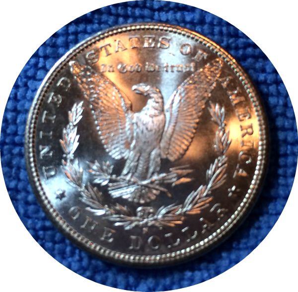 Pickups-From-An-Old-Collection---Morgans
