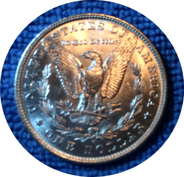 Pickups-From-An-Old-Collection---Morgans
