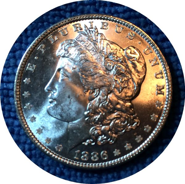 Pickups-From-An-Old-Collection---Morgans
