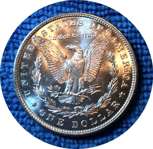 Pickups-From-An-Old-Collection---Morgans
