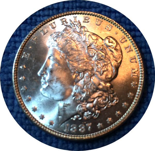 Pickups-From-An-Old-Collection---Morgans