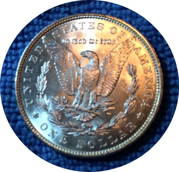 Pickups-From-An-Old-Collection---Morgans