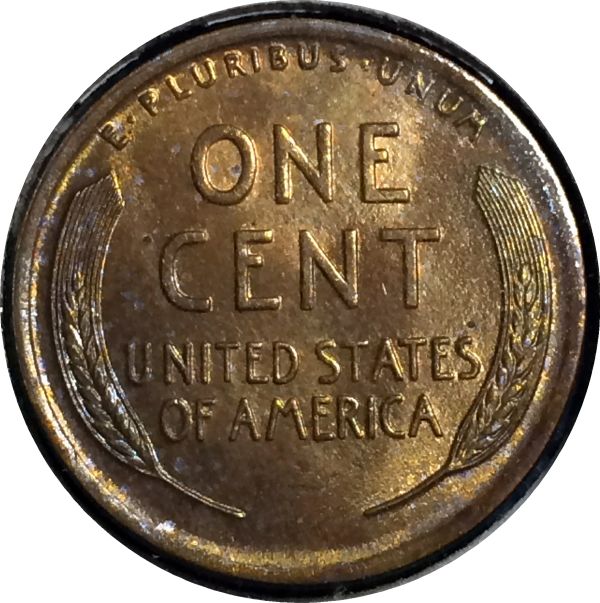 Coin-Show-Experience-1/18/15