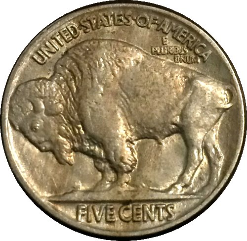 Where-The-Buffalo-Roam---In-Philladelphia,-Round-About-1916