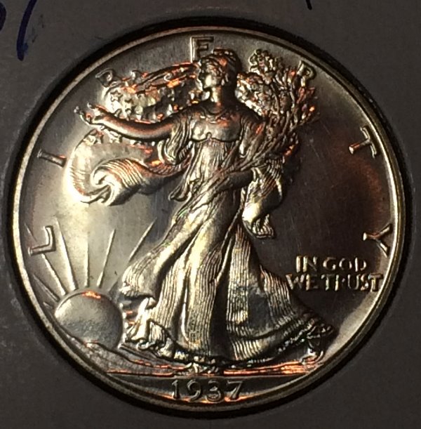 1937-Walking-Liberty-Half-Dollar-Proof---What-Say-You?
