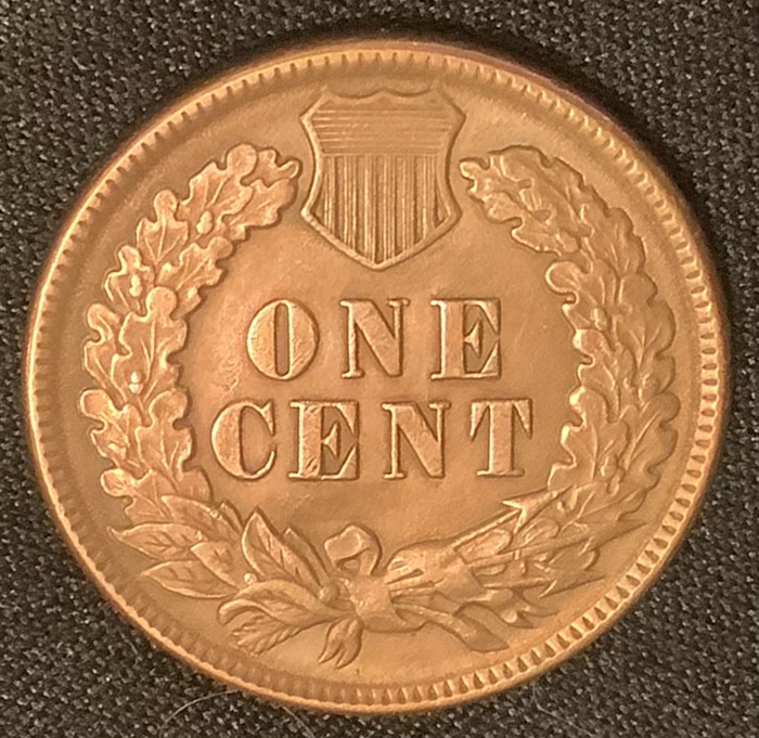 1893-Indian-Head-Cent-For-Grading