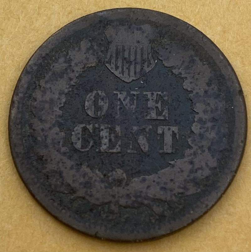 1877-Indian-Head-Cent-Nothing-