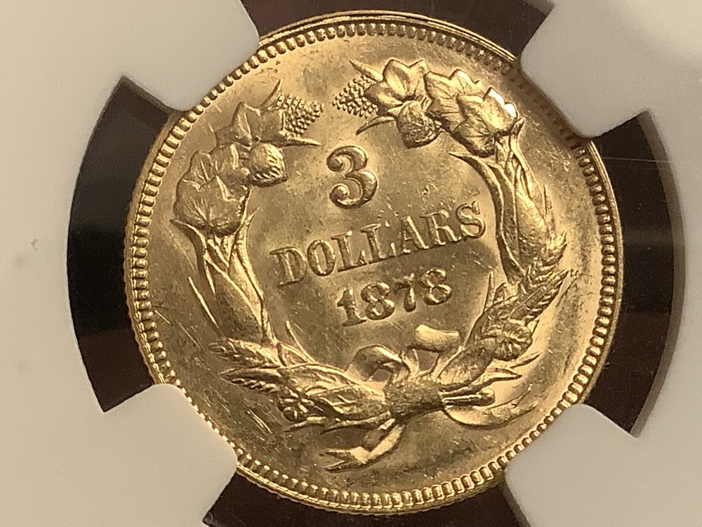 1878-$3-Indian-Princess---You-Vs-NGC