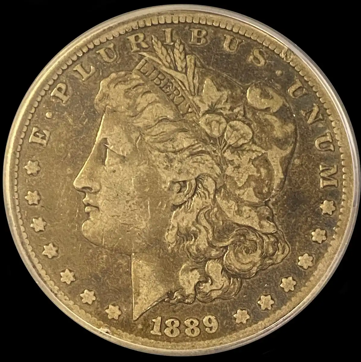 1889-CC-Morgan-Dollar-For-Your-Thoughts---You-Vs-TPG