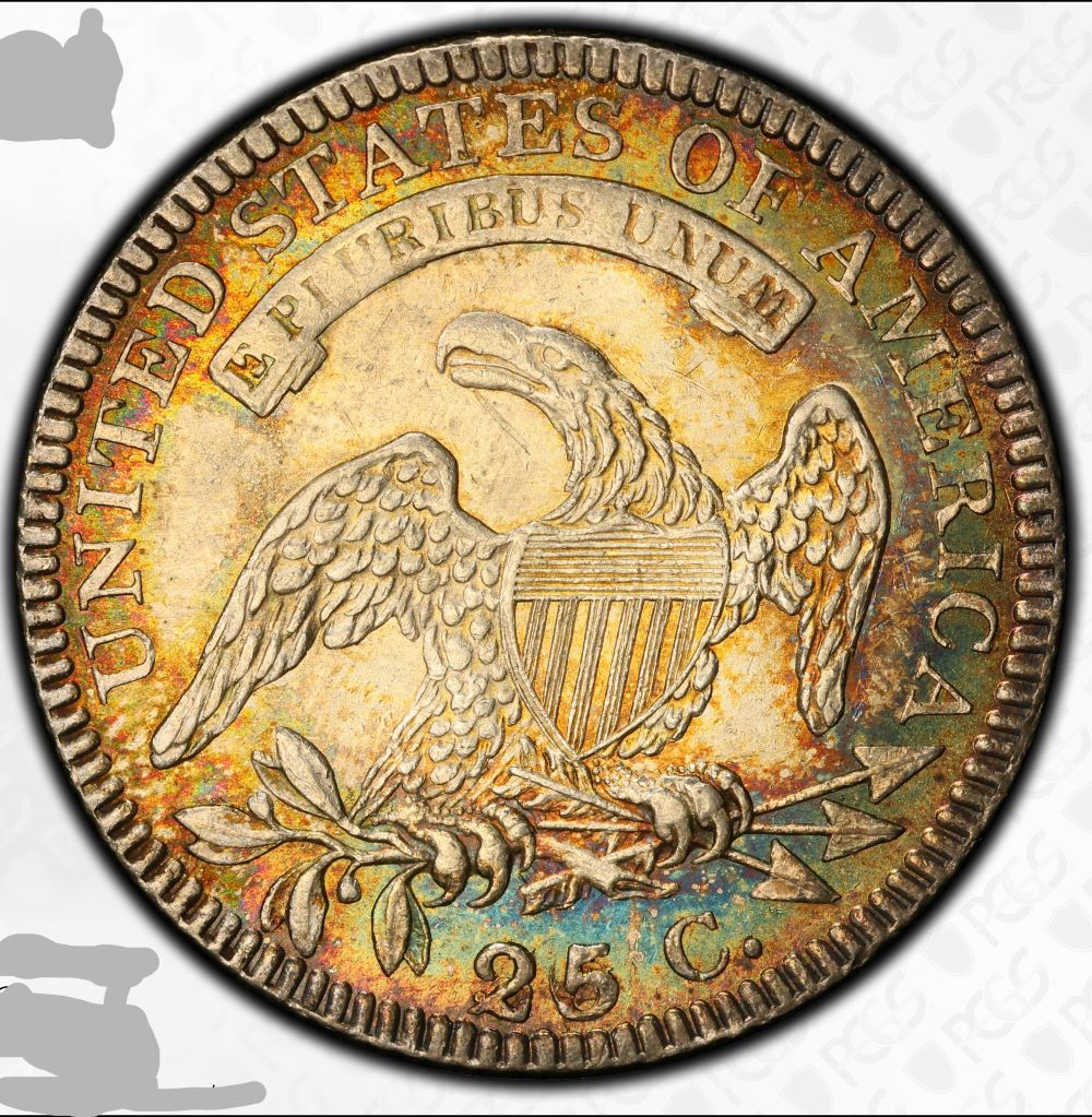 1828-Capped-Bust-Quarter-Dollar-PCGS-Vs.-You-Not-My-Coin-I-Wish,-Though