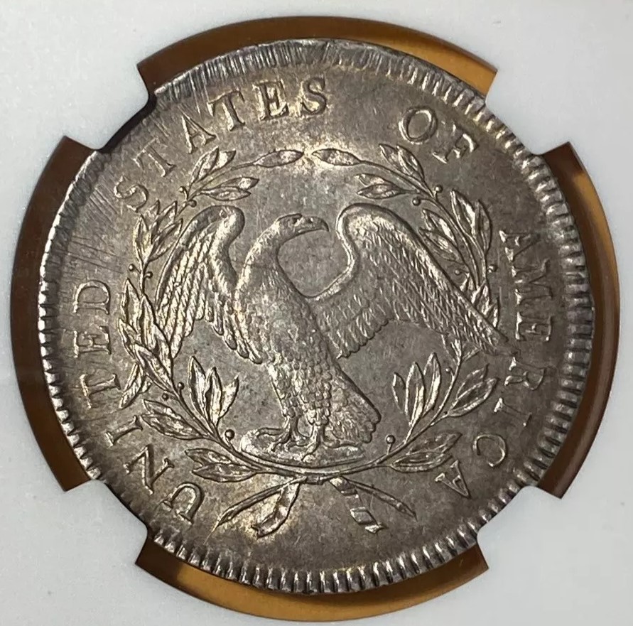 1795-Flowing-Hair-Silver-Dollar-Not-My-Coin--Ngc-Vs-You