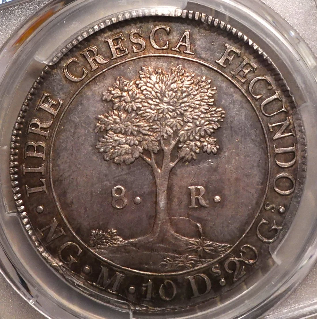 1824-Central-American-Republic-8-Reales-You-Vs-PCGS
