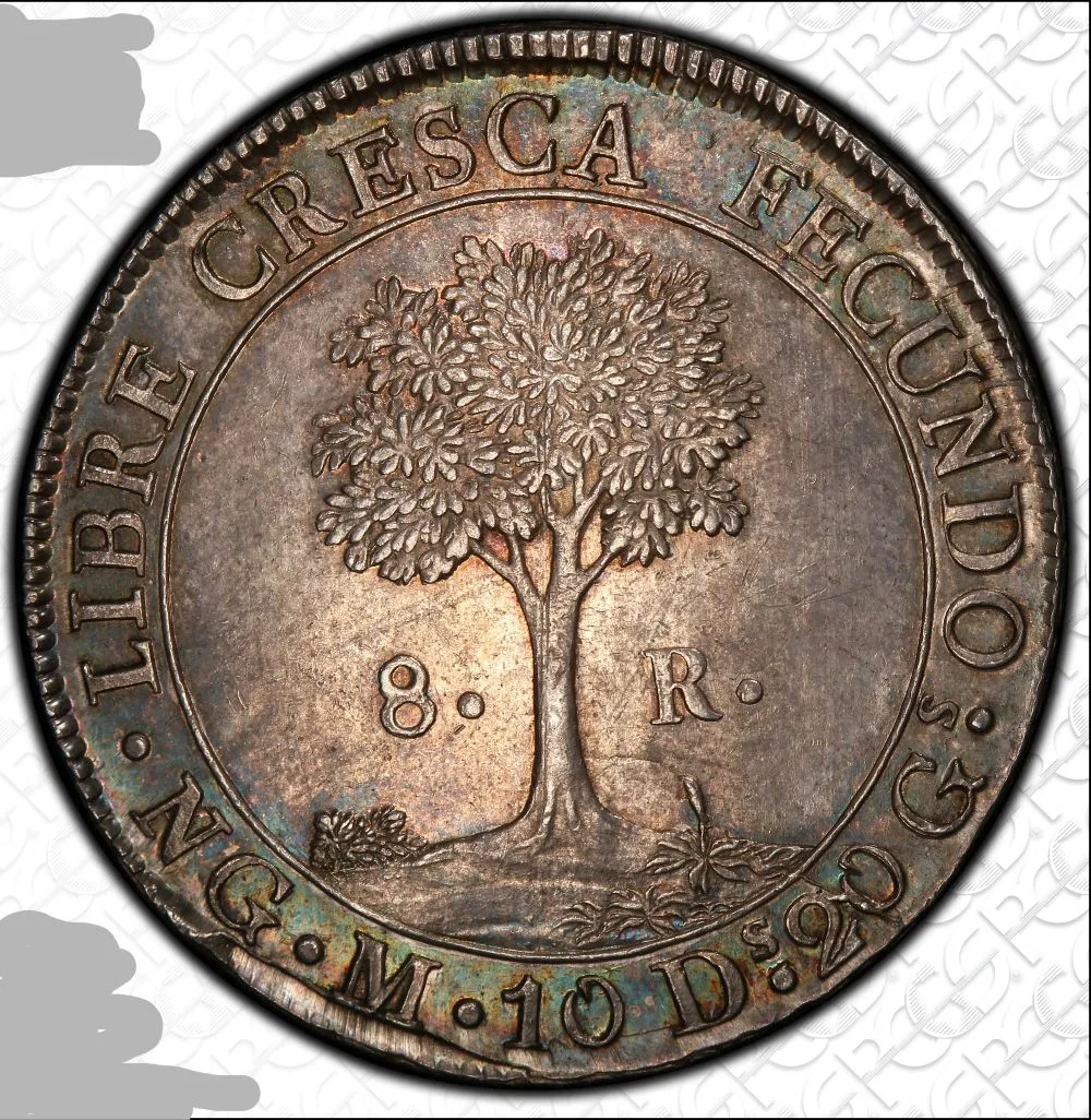 1824-Central-American-Republic-8-Reales-You-Vs-PCGS