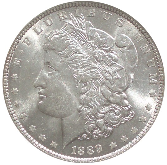 Help-Grading-1889--P-Morgan-Dollar