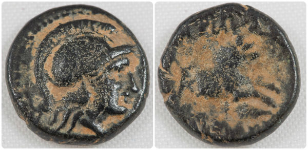 Successors-Of-Alexander-III